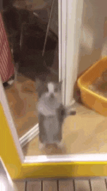 Happi Happy GIF