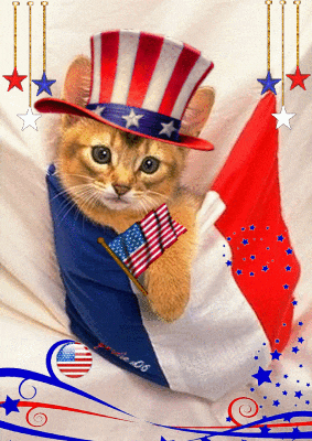 Happy 4th Of July 2023 GIF