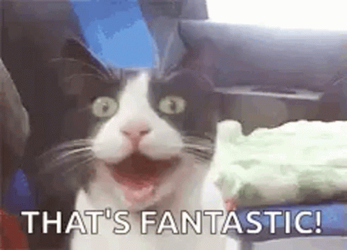 Happy Amazing GIF
