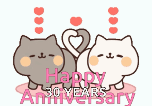 Happy Anniversary Cats GIF