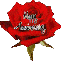 Happy Anniversary Rose Sticker