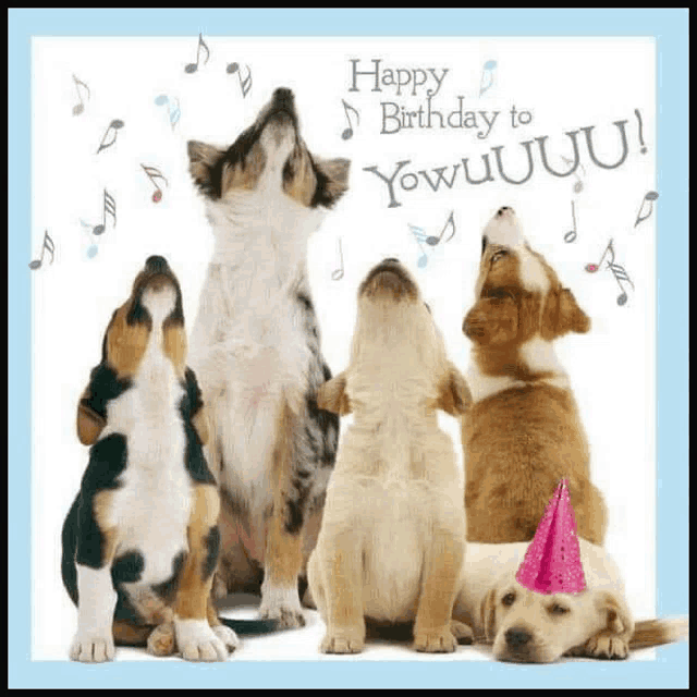 Happy B Meme