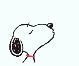 Happy Belated Birthday Luke GIF