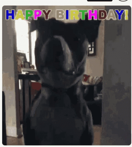 Happy Birthday GIF