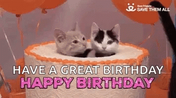 Happy Birthday Birthday Cake GIF