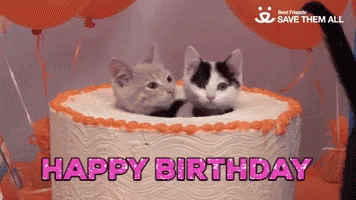 Happy Birthday Birthday Cake GIF