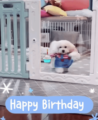 Happy Birthday Birthday Cupcake GIF. This 392 x 480 animated GIF is part of our happy birthday puppy collection. Related themes include happy birthday…