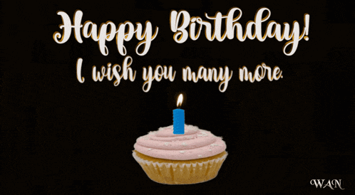Happy Birthday Birthday Greetings GIF