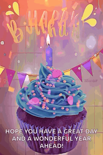 Happy Birthday Birthday Wishes GIF