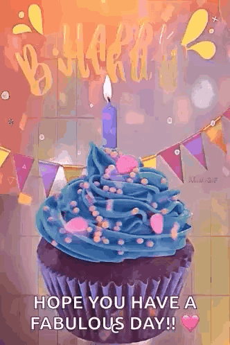 Happy Birthday Birthday Wishes GIF