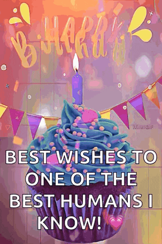 Happy Birthday Birthday Wishes GIF