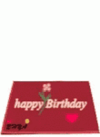 Happy Birthday Birthday GIF