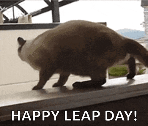 Happy Birthday GIF
