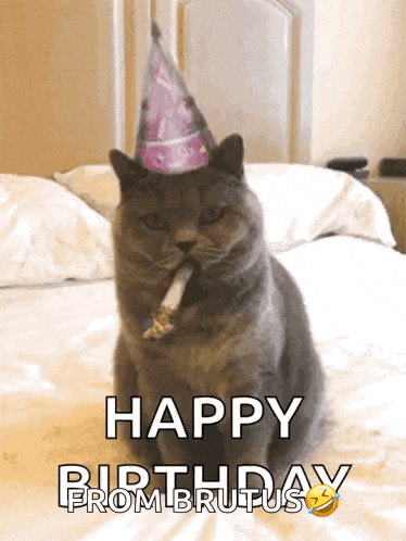 Happy Birthday Celebrate GIF