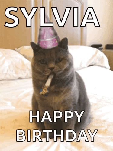 Happy Birthday Celebrate GIF. This 374 x 498 animated GIF is part of our geburtstag katzen collection. Related themes include cat, celebrate, happy…