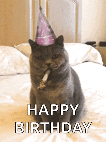 Happy Birthday Celebrate GIF
