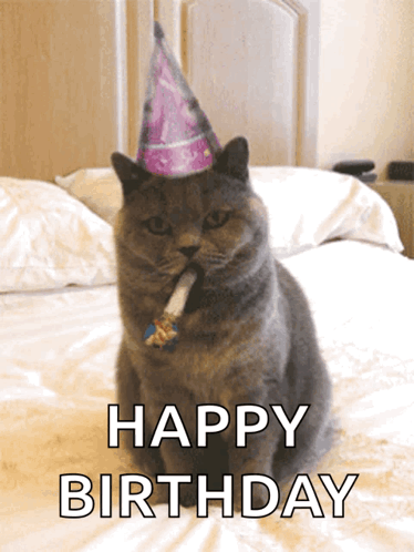 Happy Birthday Celebrate GIF. This 374 x 498 animated GIF is part of our geburtstag katzen collection. Related themes include cat, celebrate, happy…