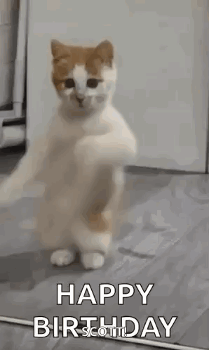 Happy Birthday GIF