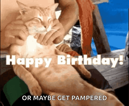 Happy Birthday GIF