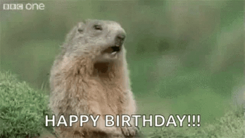 Happy Birthday GIF