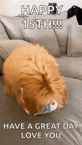Happy Birthday Dance Happy Birthday To You GIF. This 282 x 498 animated GIF is part of our nephew birthday collection. Related themes include happy…