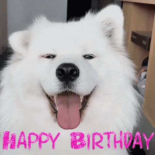Happy Birthday Dog GIF