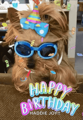 Happy Birthday Dog GIF. This 343 x 498 animated GIF is part of our happy birthday puppy collection. Related themes include cute, happy birthday, puppy…