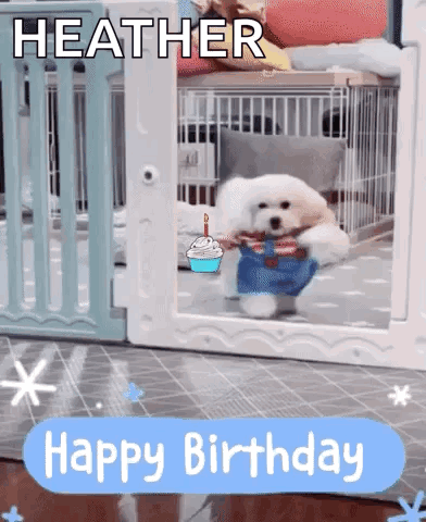 Happy Birthday Dog GIF