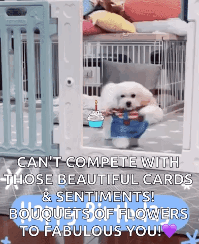 Happy Birthday Dog GIF
