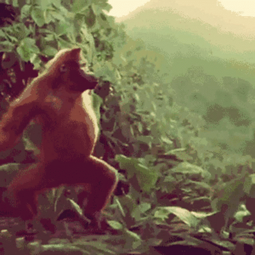 Happy Birthday GIF