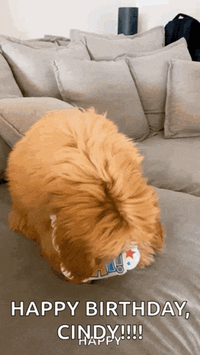 Happy Birthday GIF