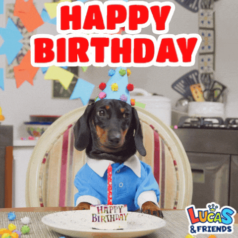 Happy Birthday Happy Bday GIF