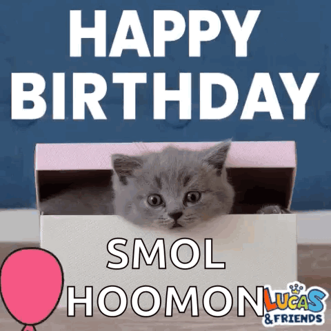 Happy Birthday Happy Bday GIF