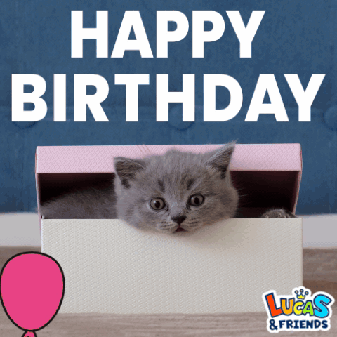 Happy Birthday Happy Bday GIF