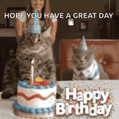 Happy Birthday Happy Birthday Cat GIF. This 498 x 498 animated GIF is part of our geburtstag katzen collection. Related themes include happy birthday, happy…