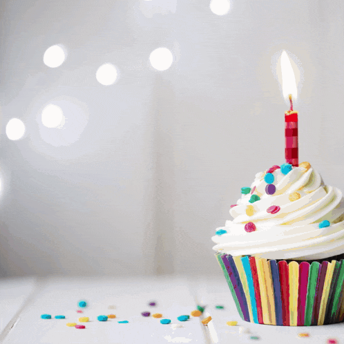 Happy Birthday Happy Birthday Joyful GIF