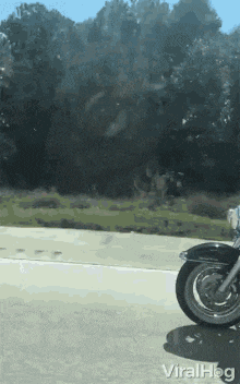 Happy Birthday Happy Birthday To You GIF