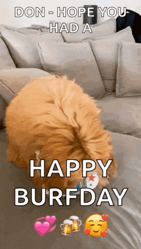 Happy Birthday Happy GIF
