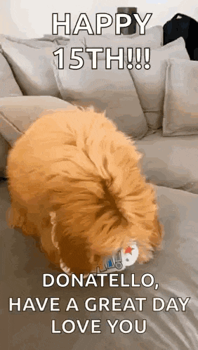 Happy Birthday Happy GIF