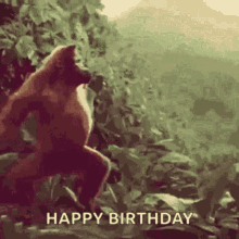 Happy Birthday Happybirthday GIF