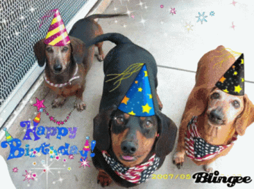 Happy Birthday Hbd GIF