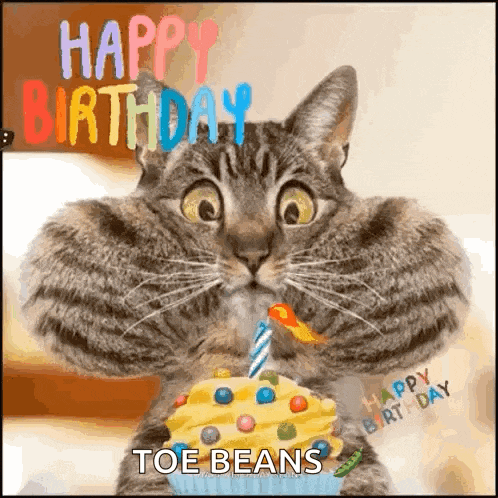 Happy Birthday GIF