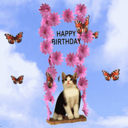 Happy Birthday Kitten Butterflies GIF
