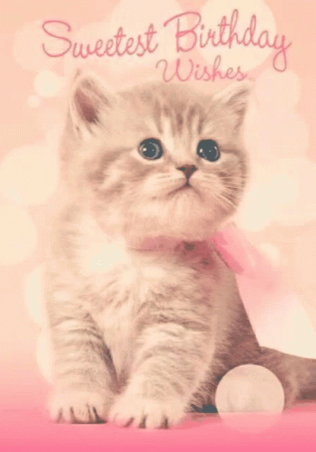 Happy Birthday Kitten GIF