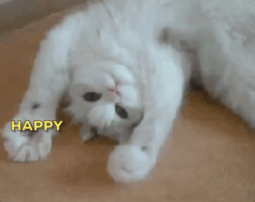 Happy Birthday Kitten Waving GIF