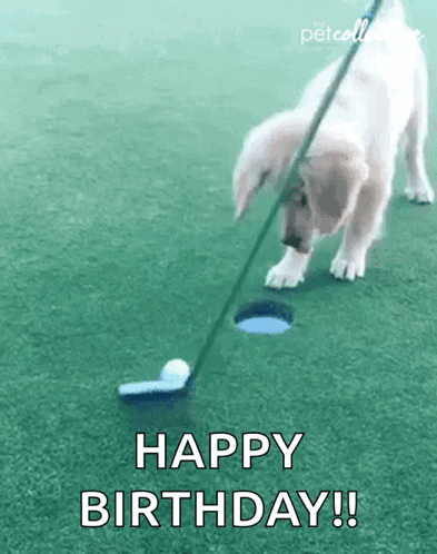 Happy Birthday Matthew GIF