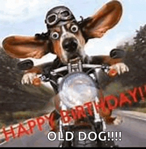 Happy Birthday Meme