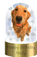 Happy Birthday Molly Sticker