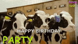 Happy Birthday Moo GIF
