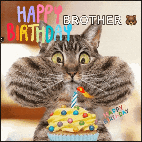 Happy Birthday GIF